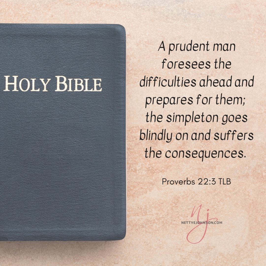 Nettye Johnson Quote Image - Prov 22 3