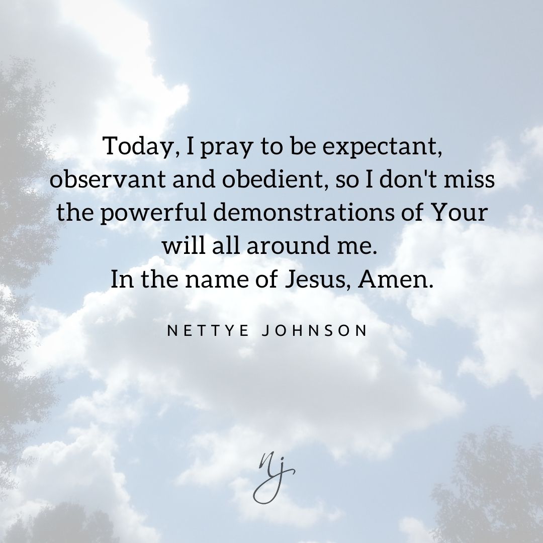 Nettye Johnson quote Image - TIP Expectant